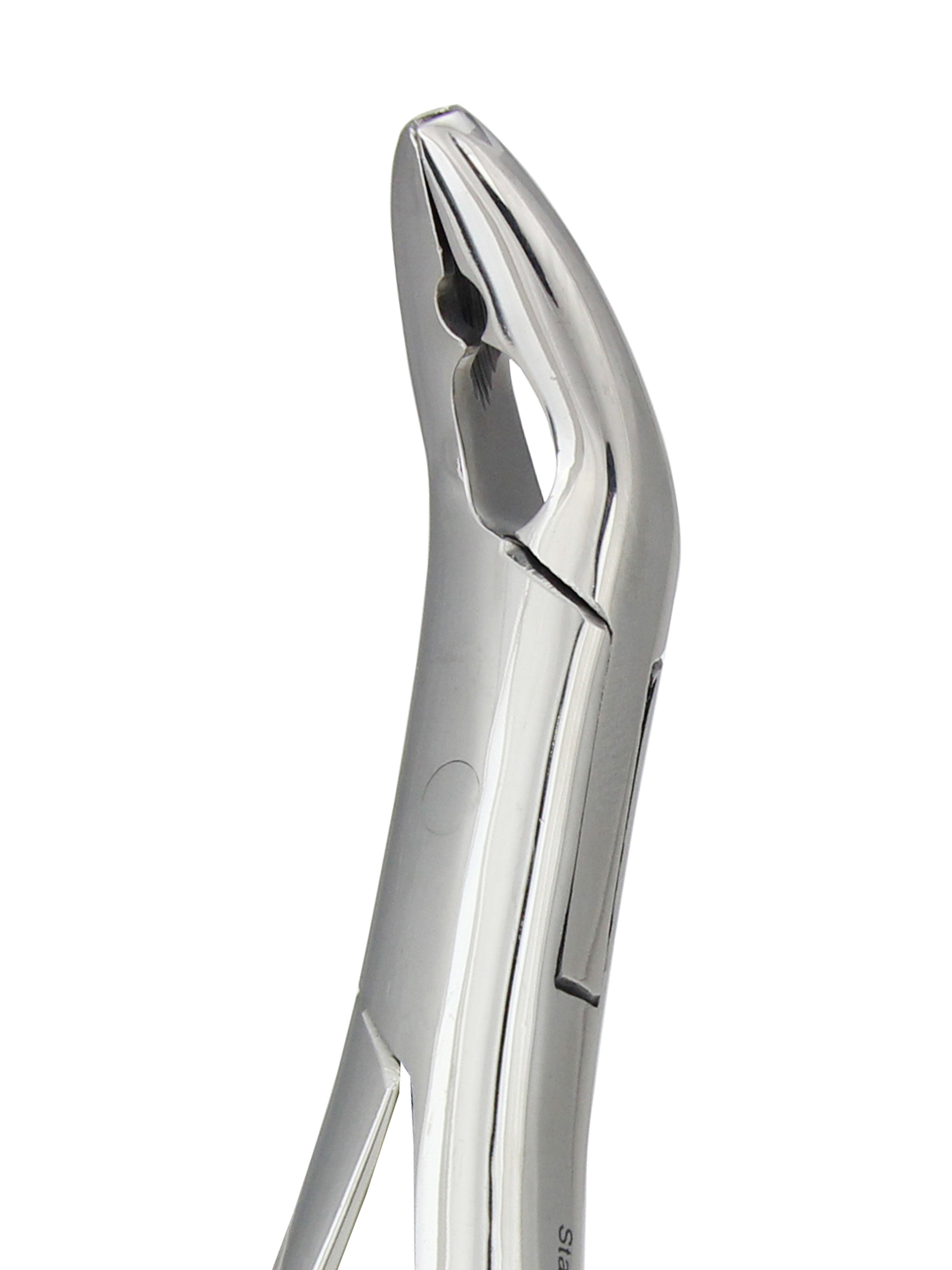 Extraction Forceps 151AS, Serrated Tip